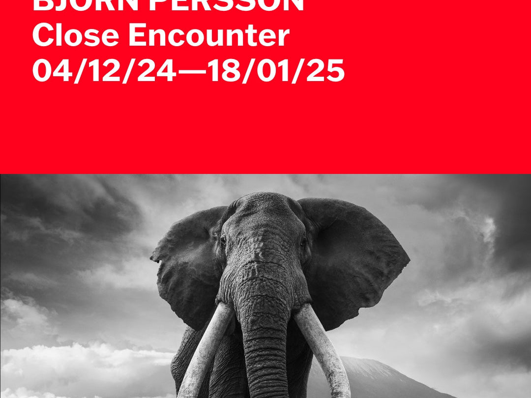 Close Encounter