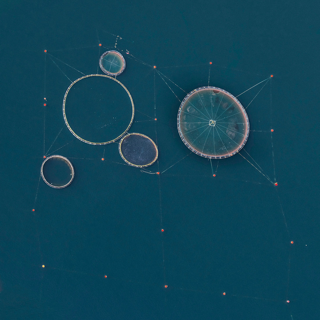 AV Fishfarms 004