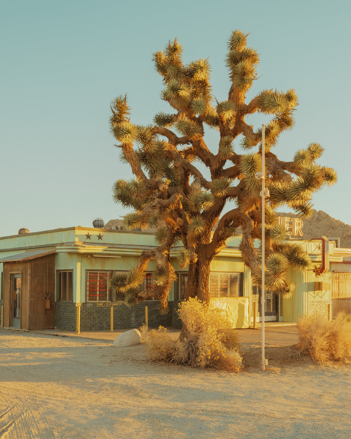 Desert Diner