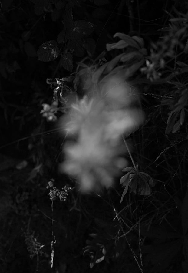 Untitled, 2018