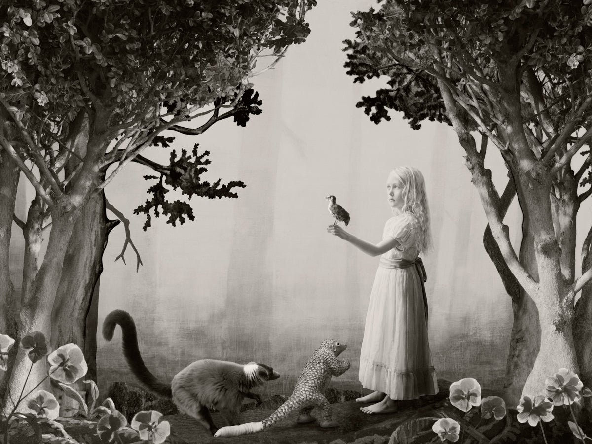 Birdgirl, 2022