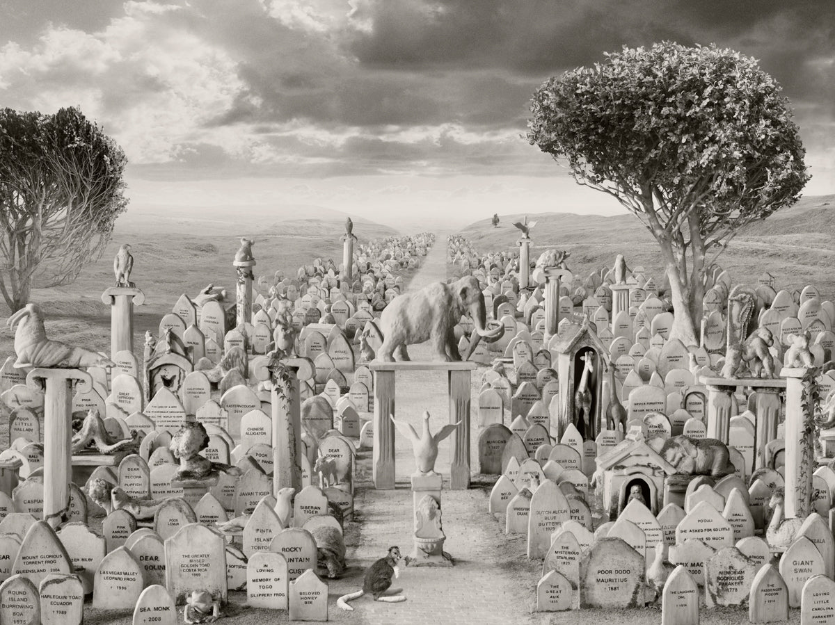Cemetery for Extinct and Endangered Species, 2022