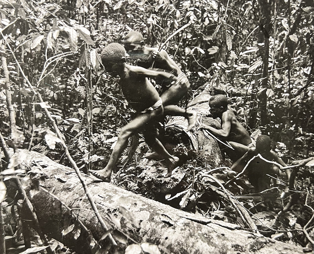 Pygmies in the jungle outside Stanleyville (now Kisangani), then Belgian Congo in 1948