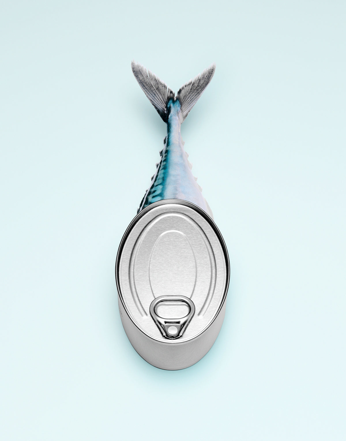 METAL MEAL