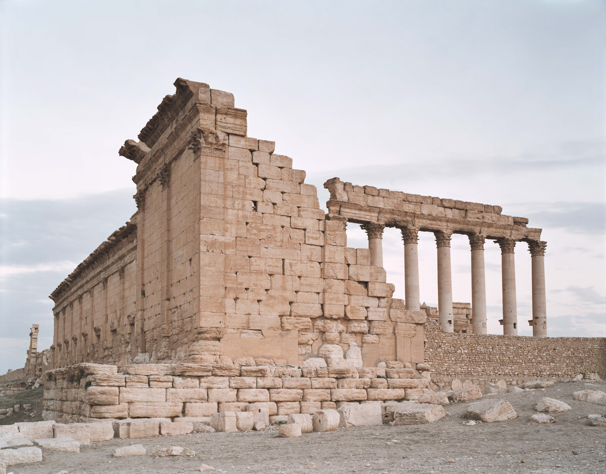 Palmyra #2