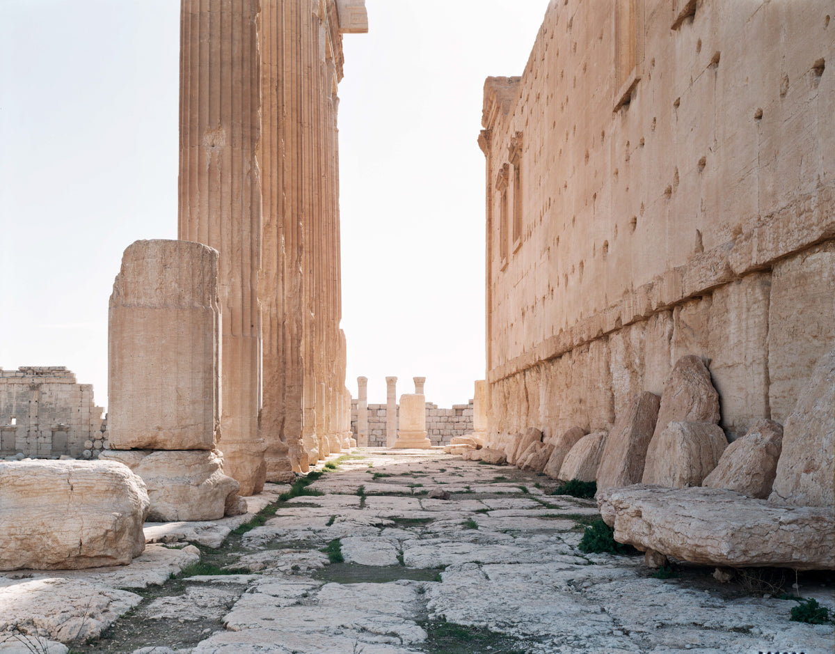 Palmyra #9