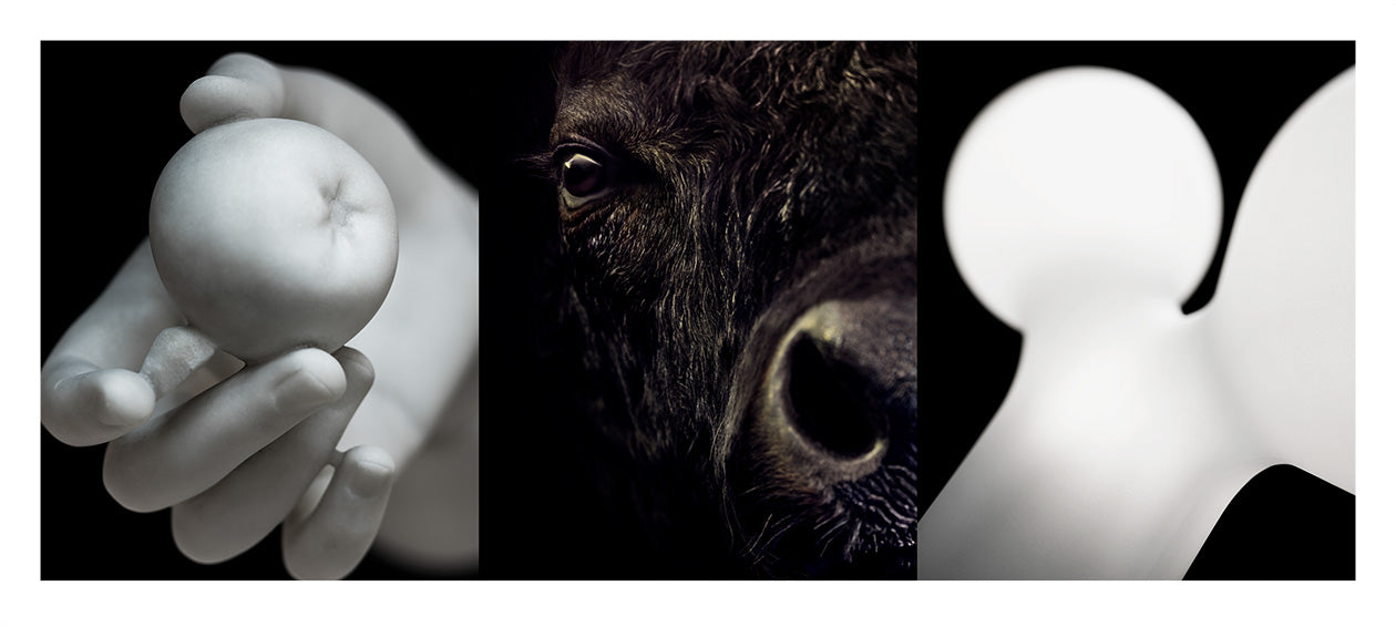 From the serie: Diptychs & Triptychs. #11