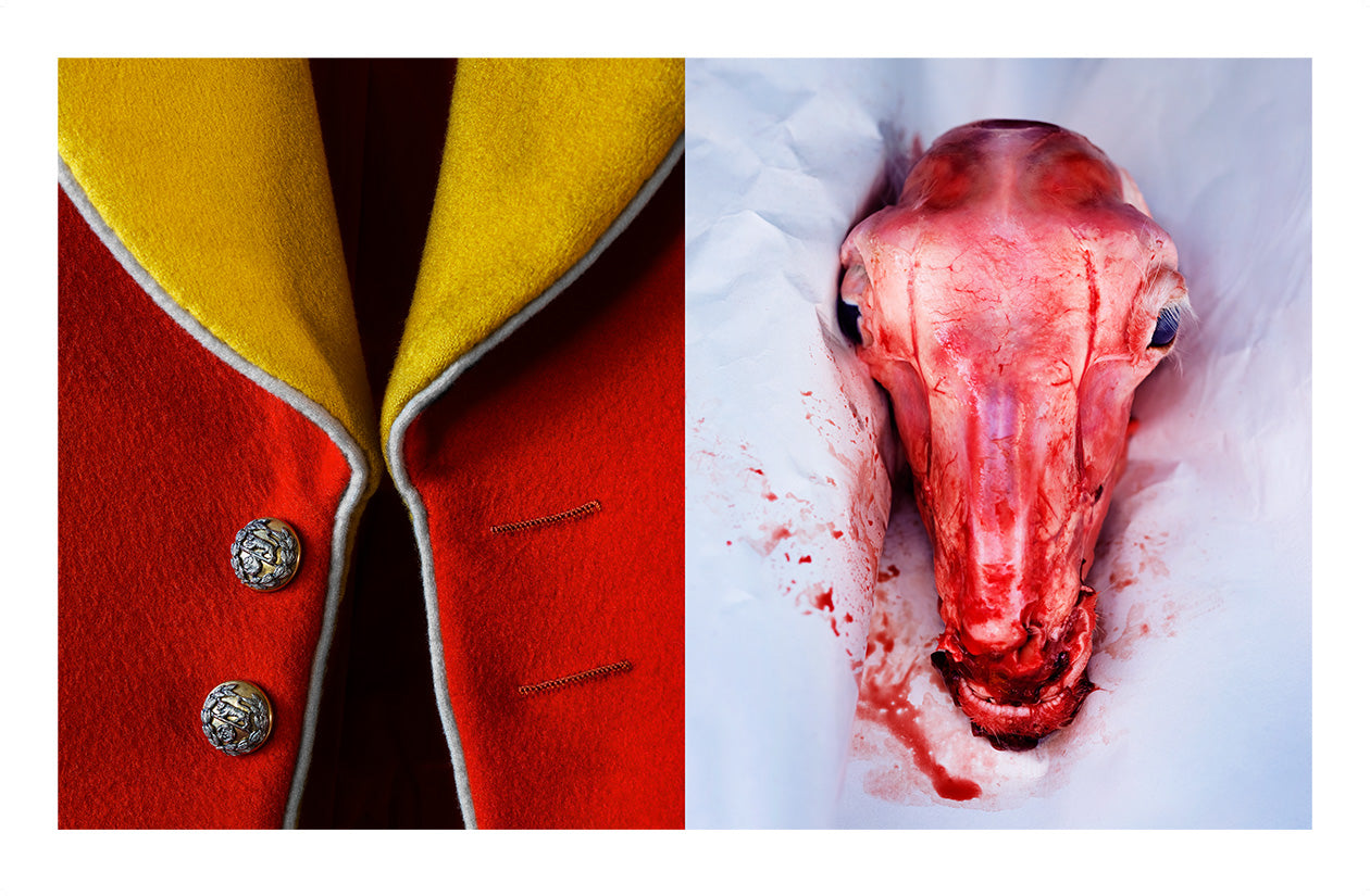 From the serie: Diptychs & Triptychs.#3