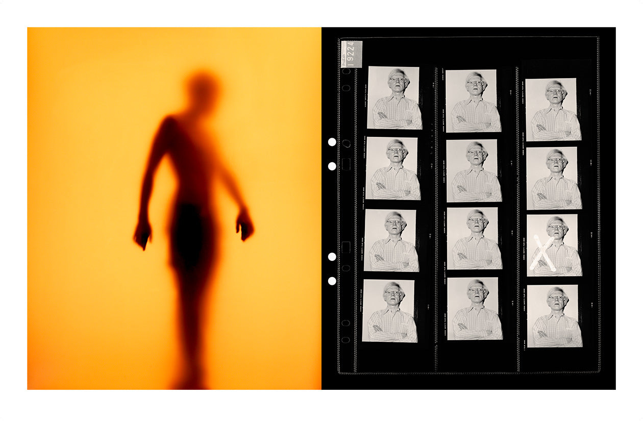 From the serie: Diptychs & Triptychs. #5