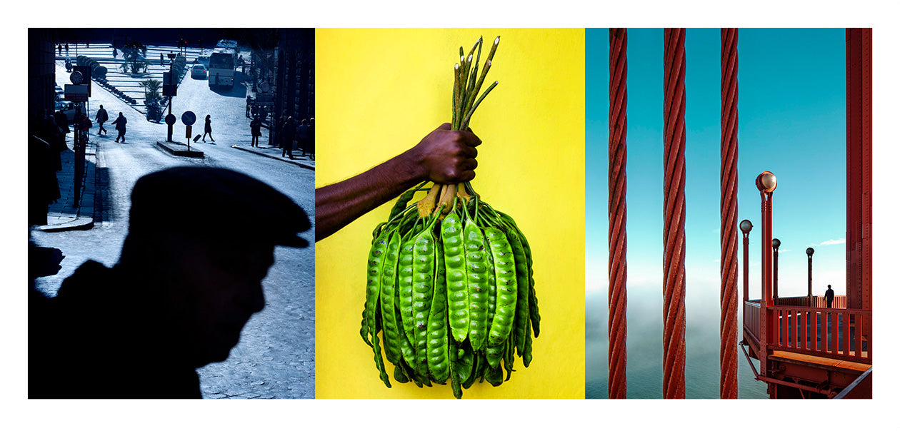 From the serie: Diptychs & Triptychs. #8