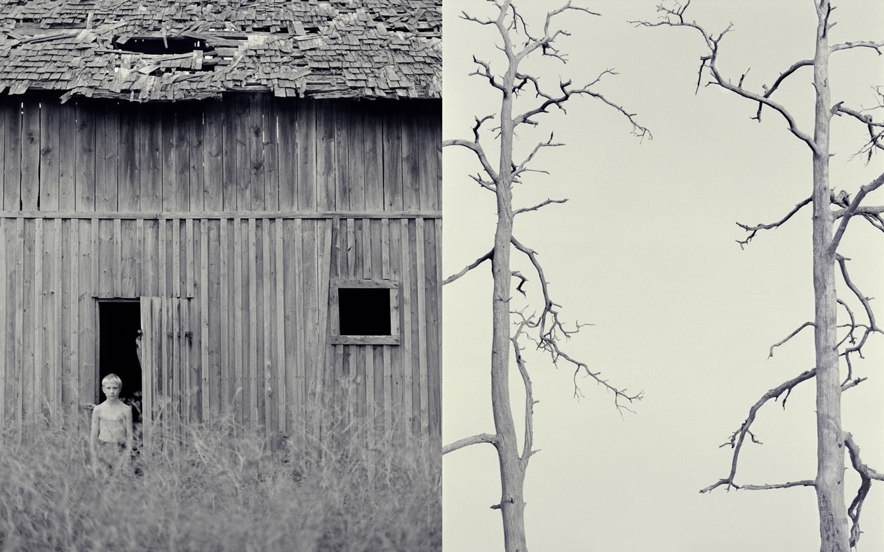 From the serie: Memories of #1
