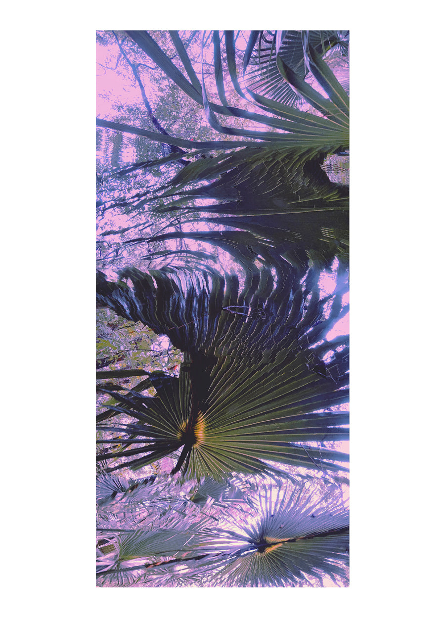 Feather