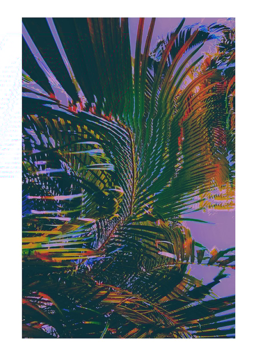Night Flight