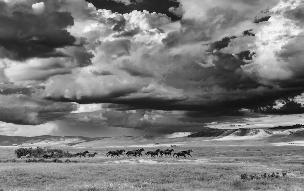 Before The Storm