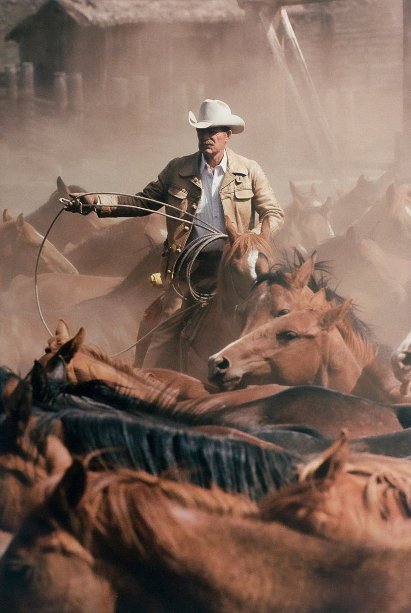 Culling The Herd