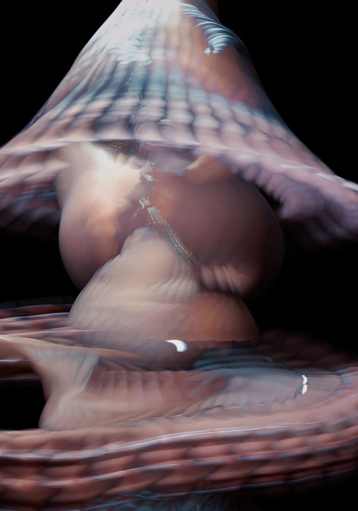 Shibari #5