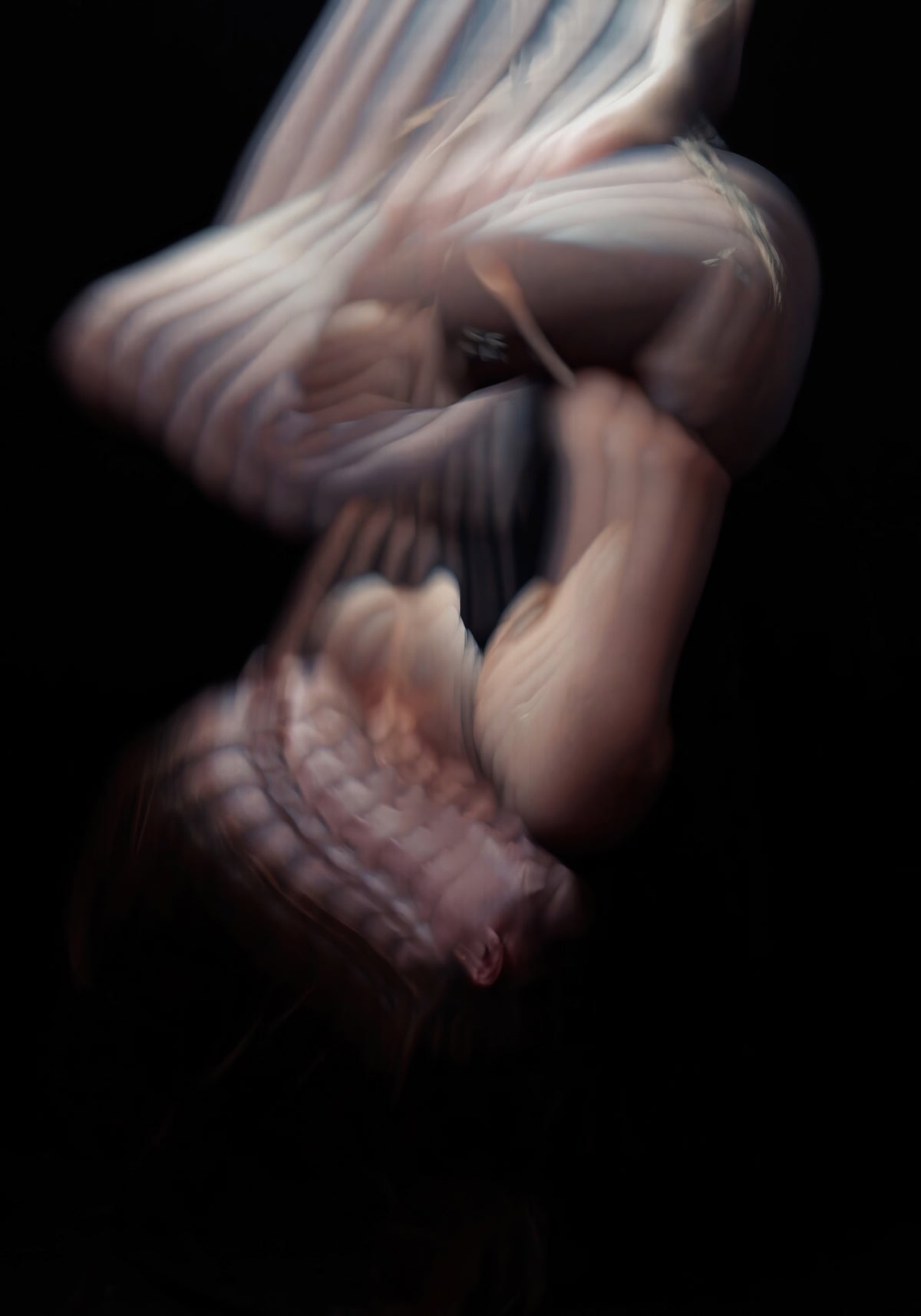 Shibari #6