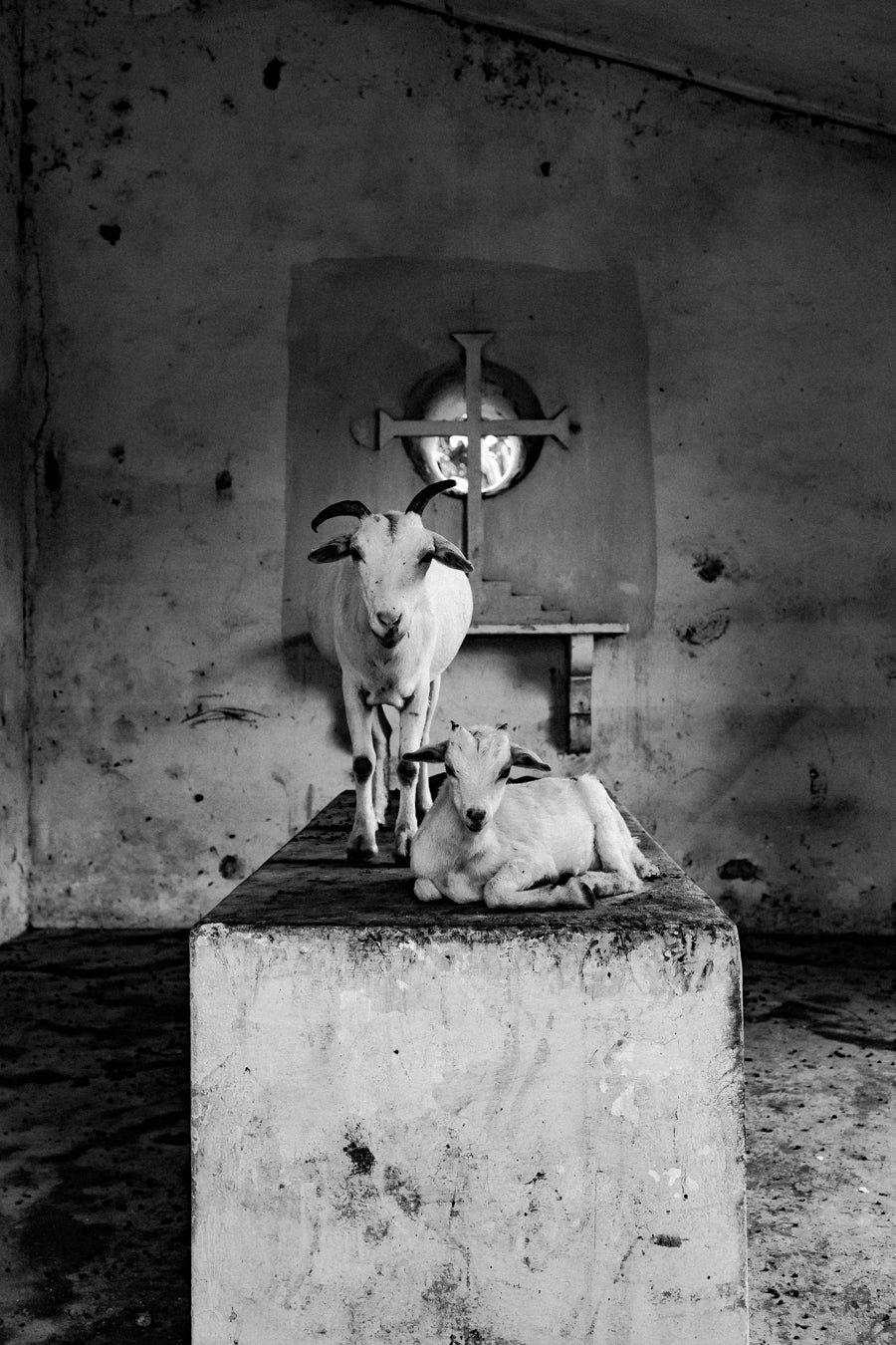 Mother & Kid “Os Meninos da Roça”