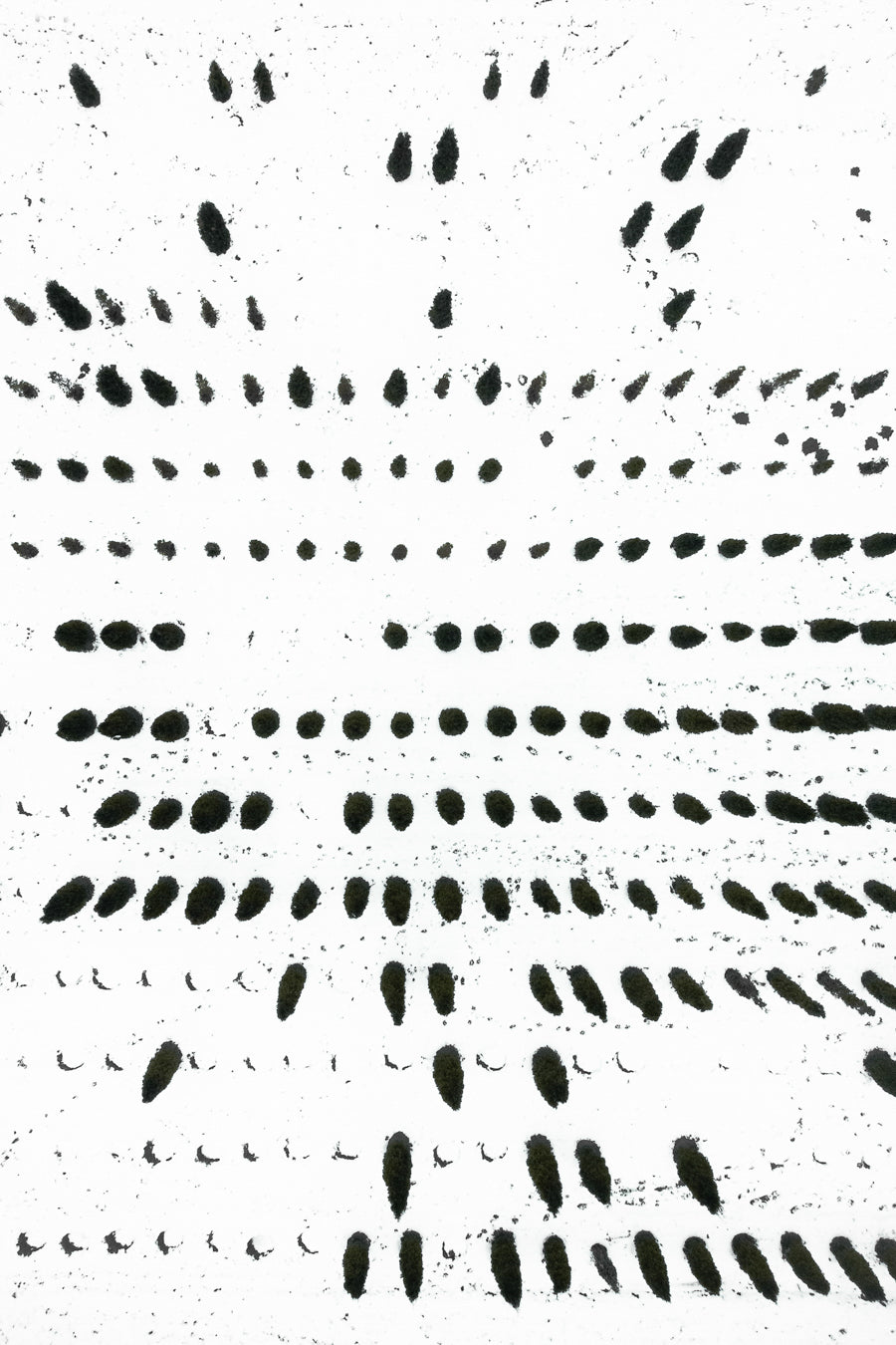 The Botanical Series, N°TBS07