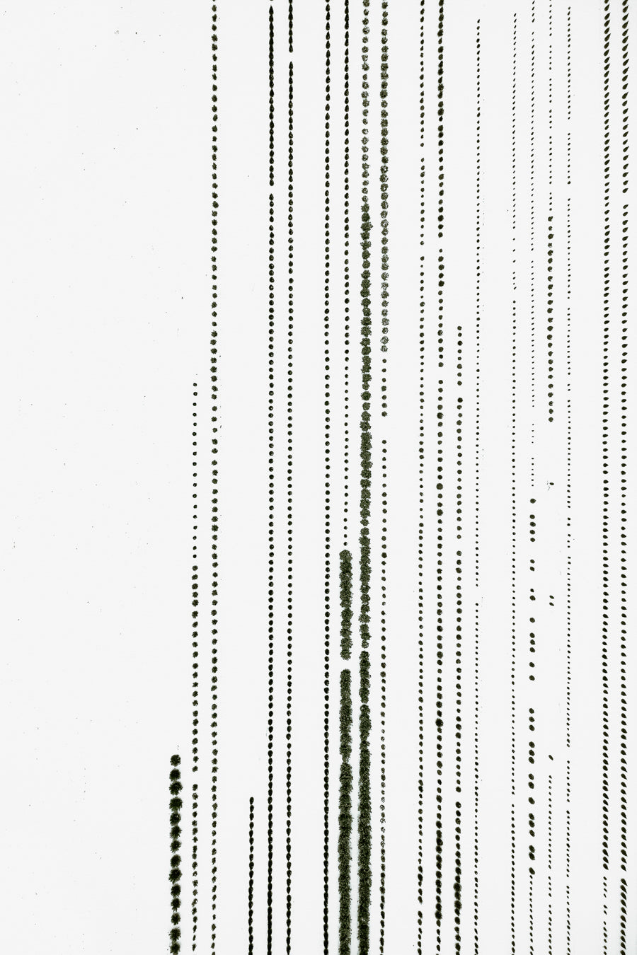 The Botanical Series, N°TBS09