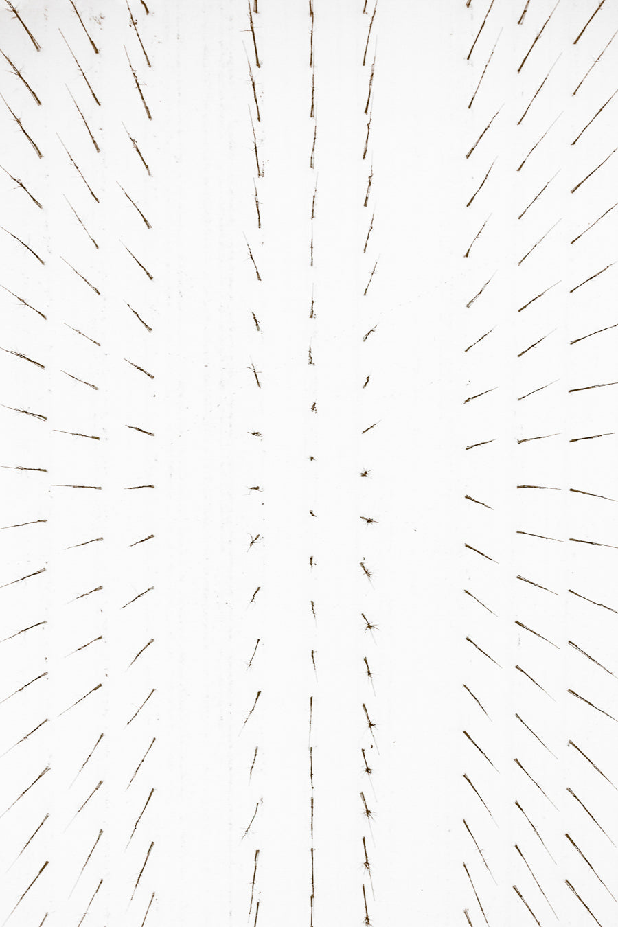 The Botanical Series, N°TBS14