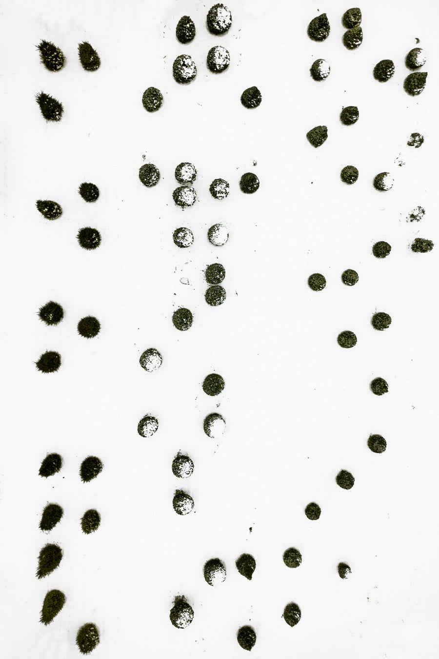 The Botanical Series, N°TBS15