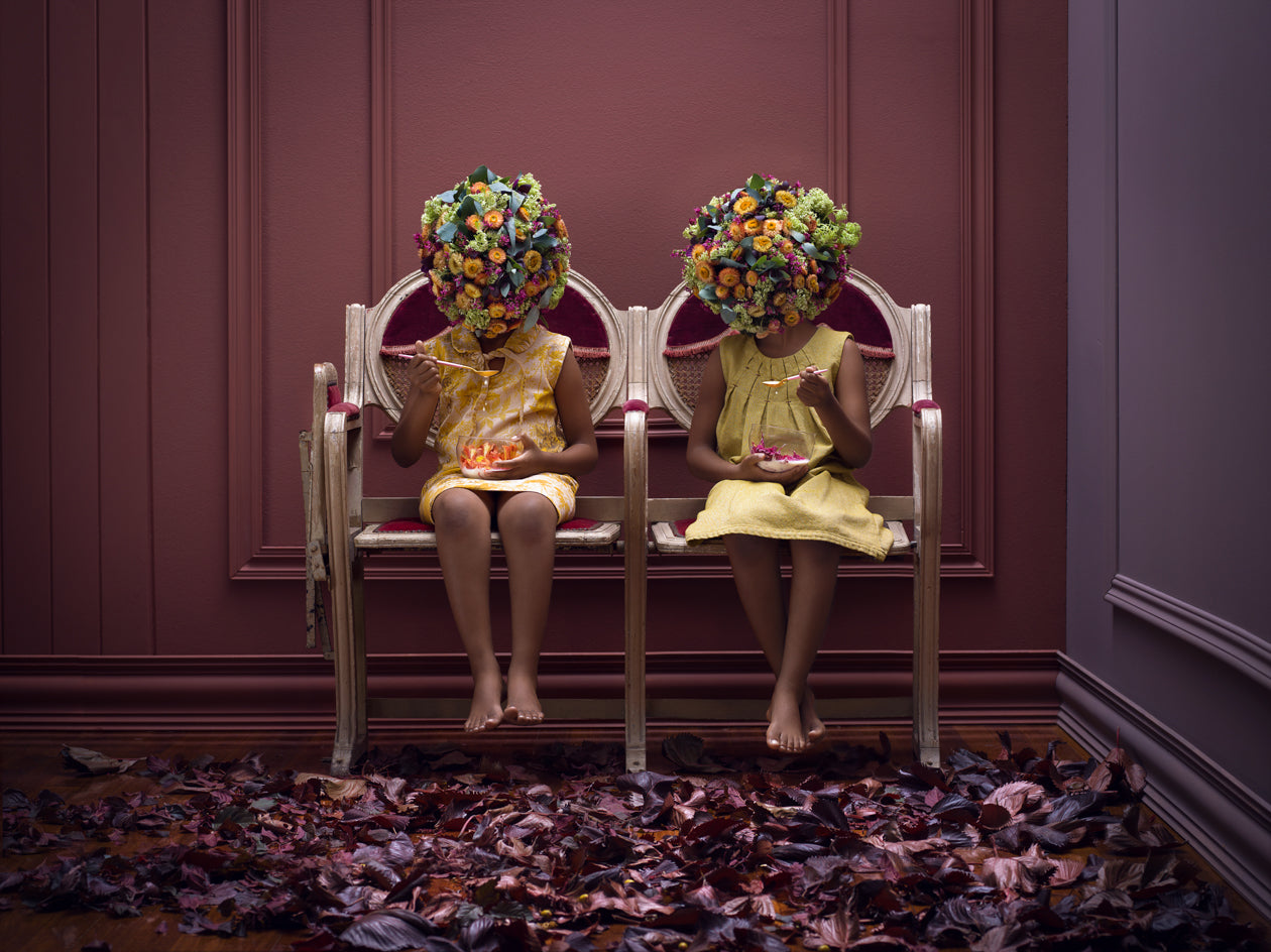Flowerhead Family #2