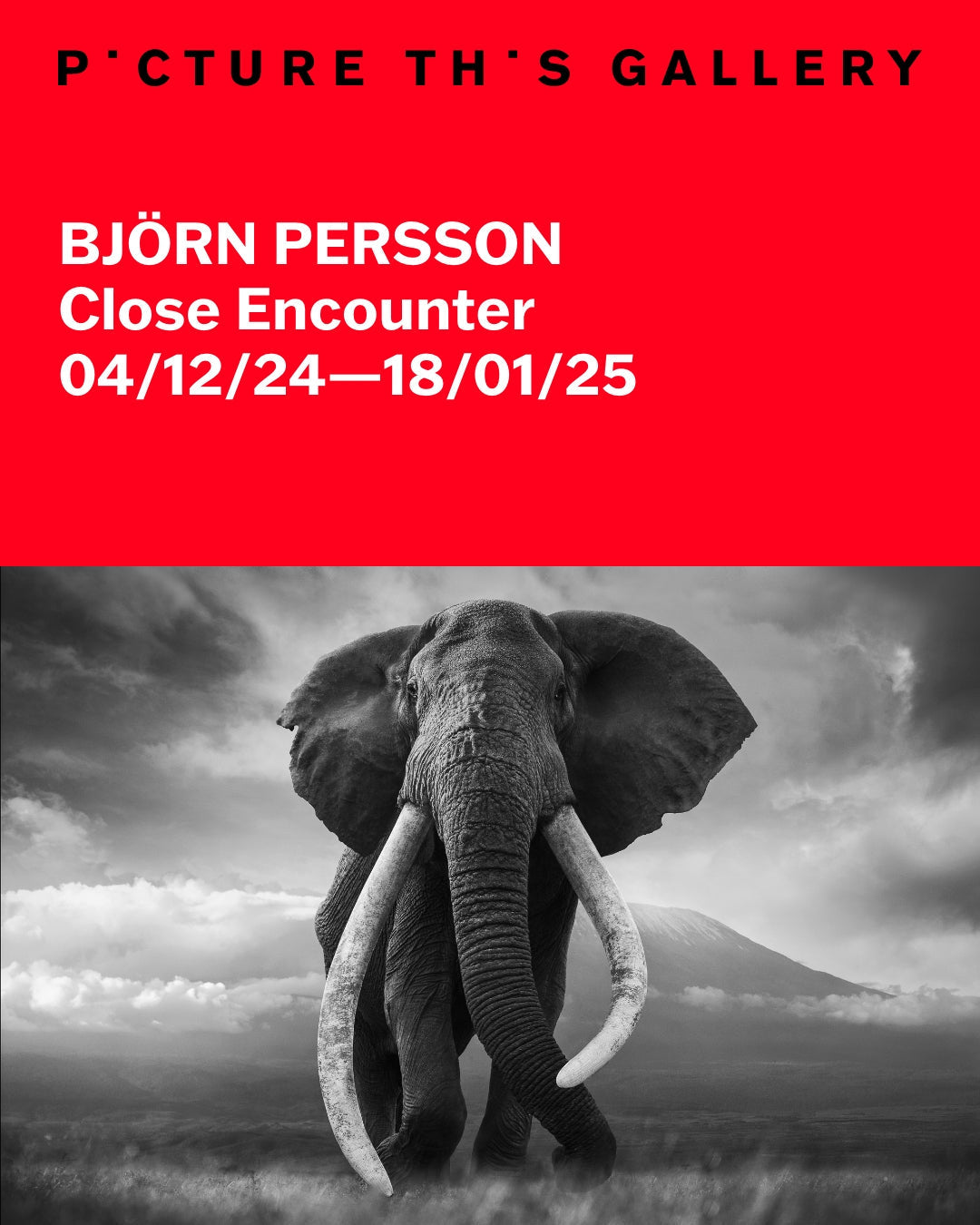 Close Encounter