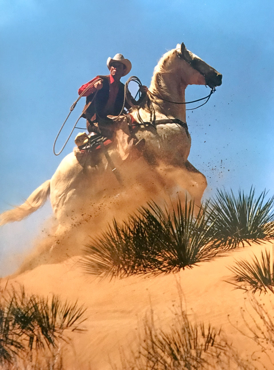 Cactus Ridge