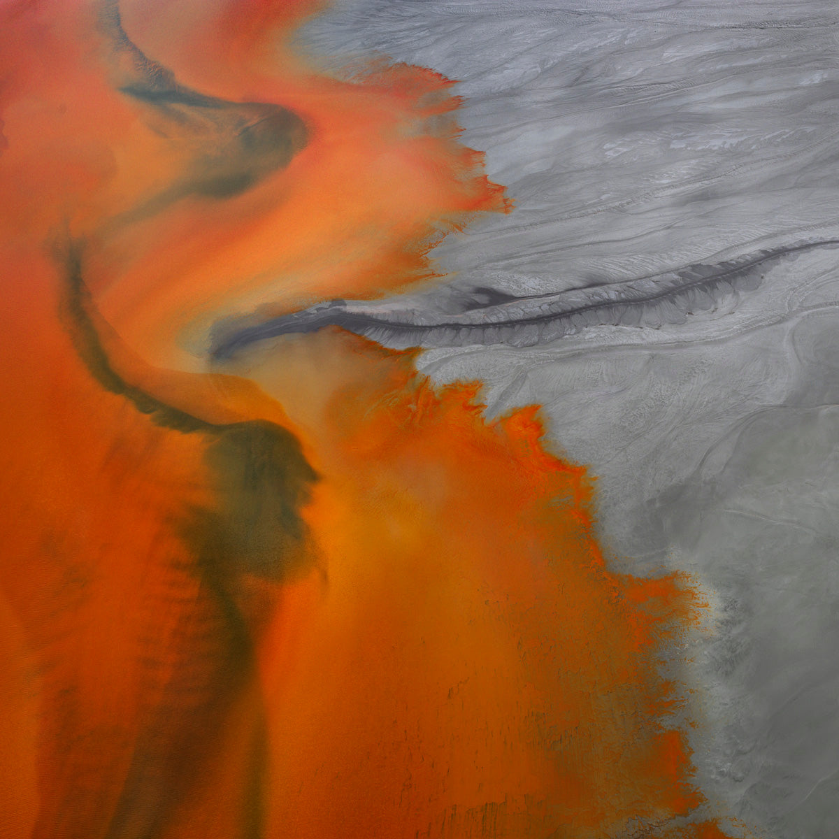 Colors of Poison #3