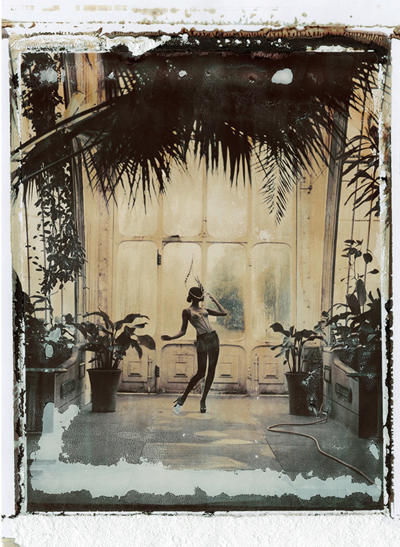 Kew gardens