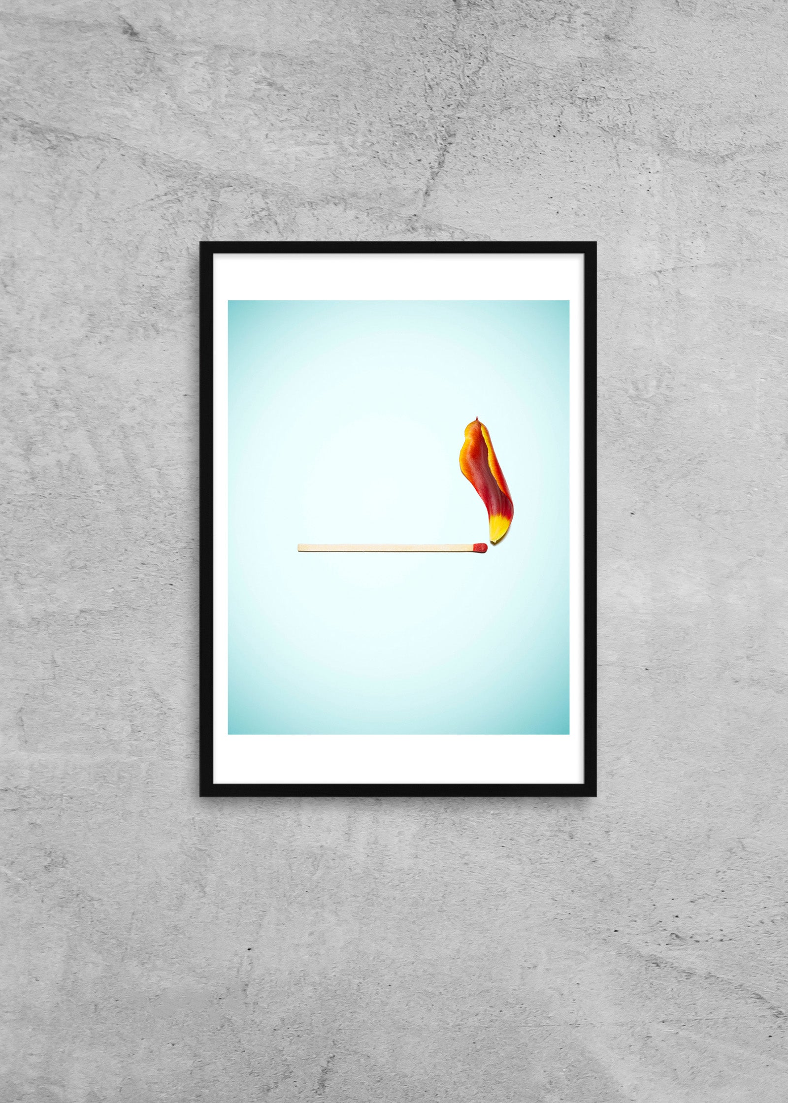 TULIP FLAME