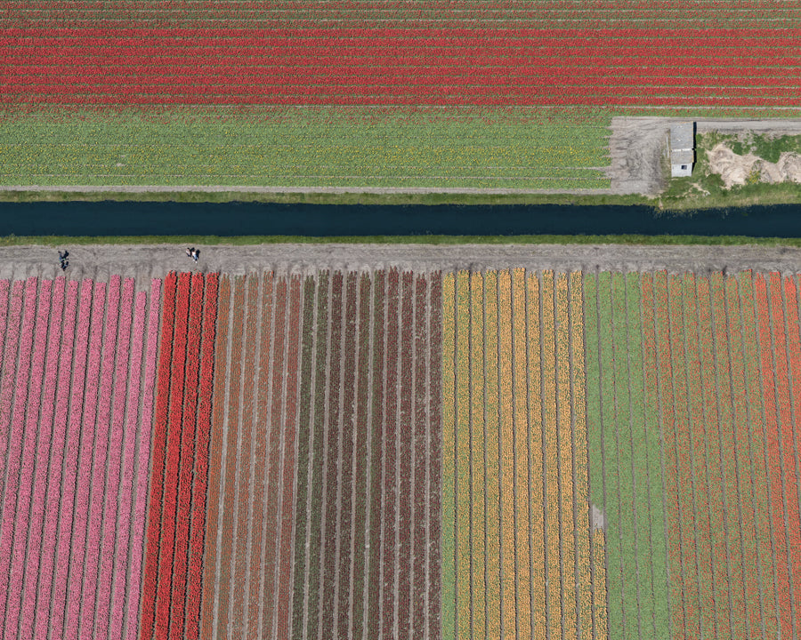 AV Netherlands 006