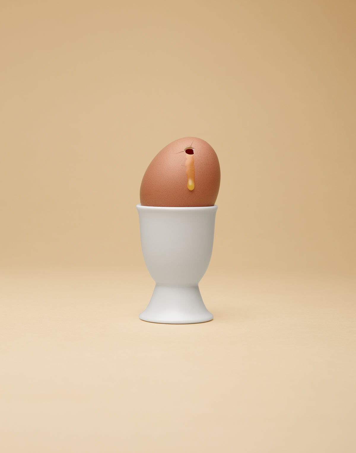 EXECUTED EGG