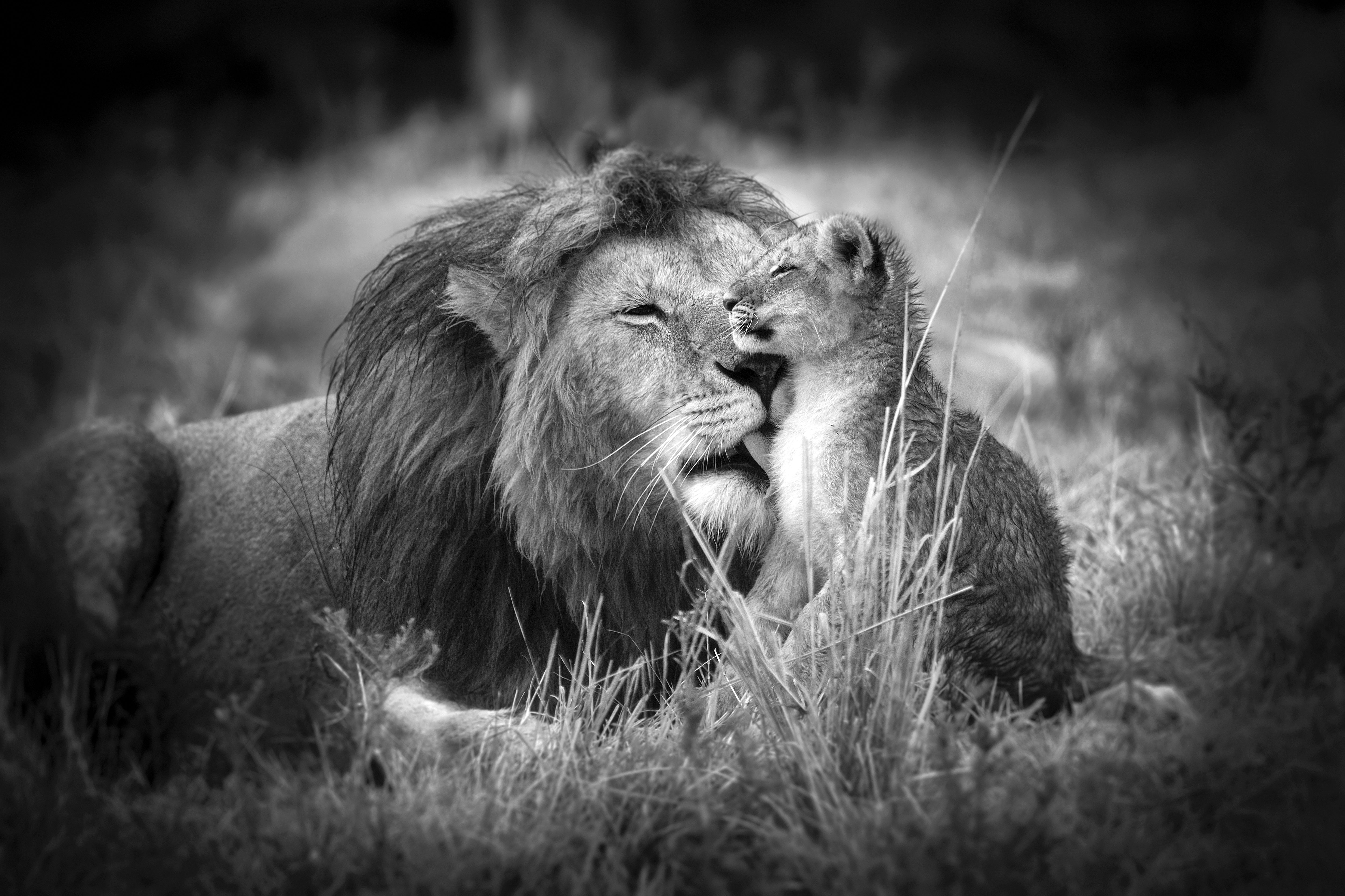 Father and Son