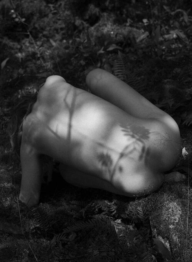 Untitled, 2016