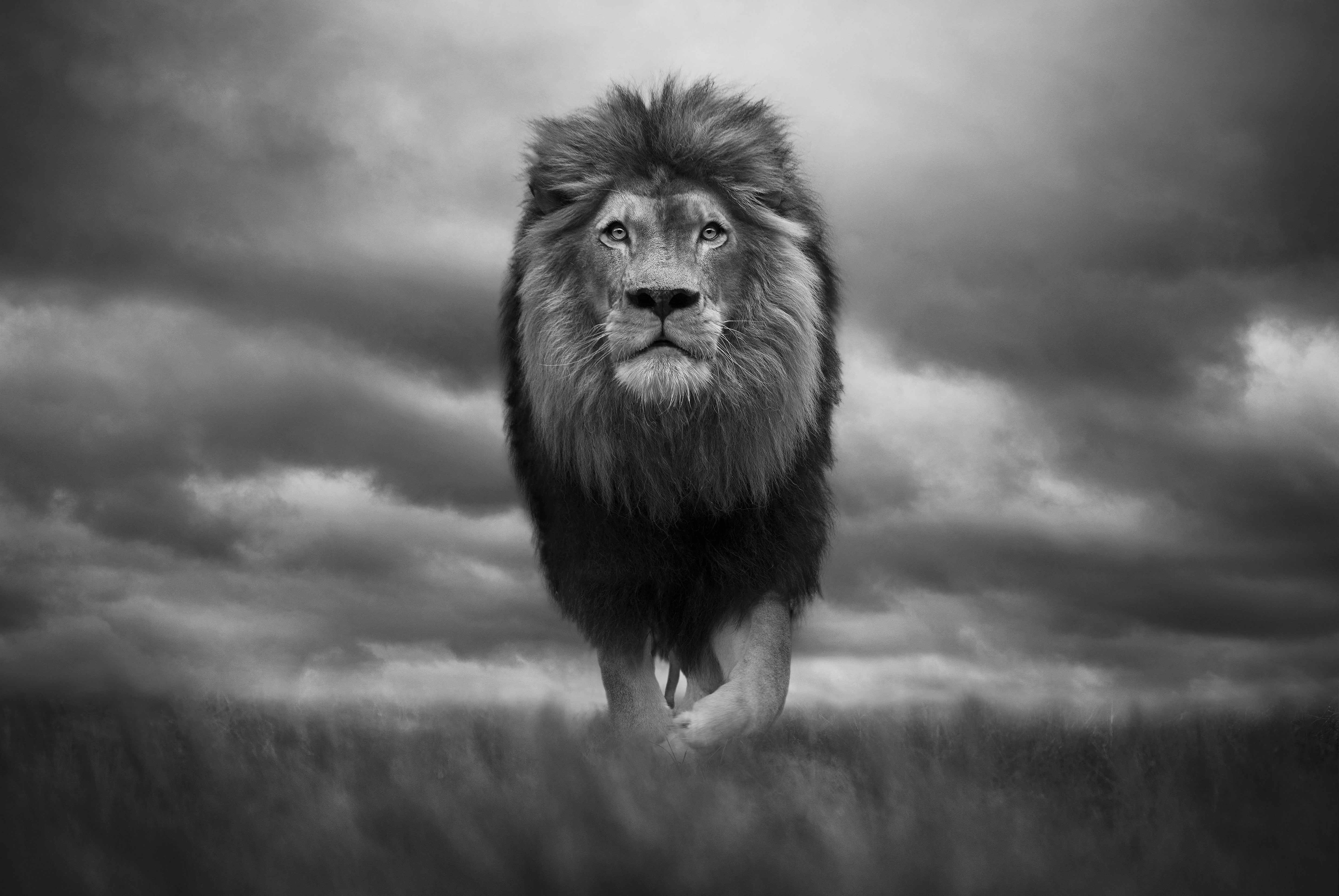 King of Kings