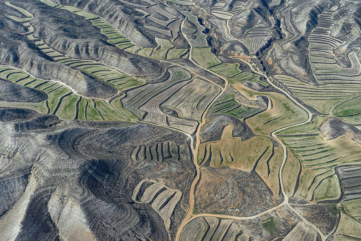 Farmland I