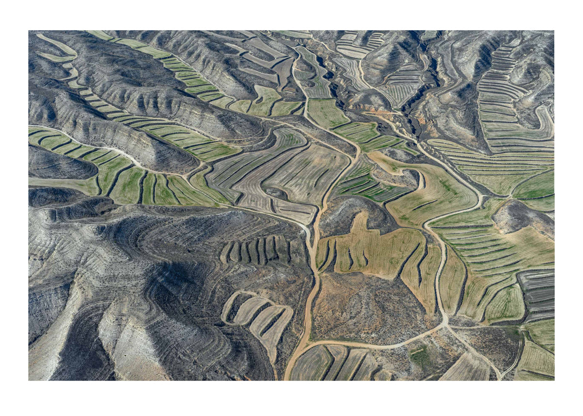 Farmland I
