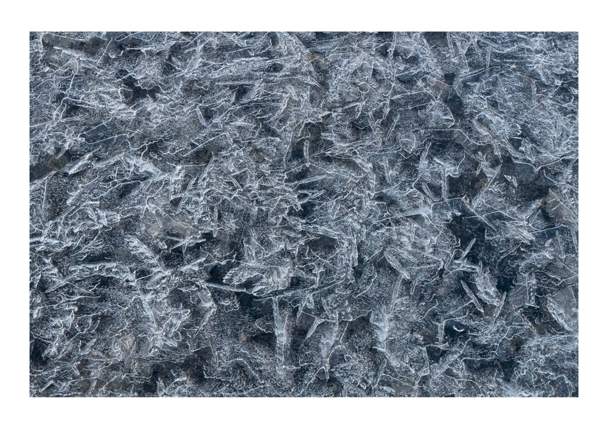 Ice #1
