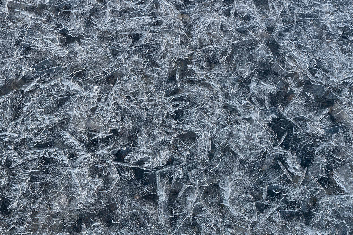 Ice #1