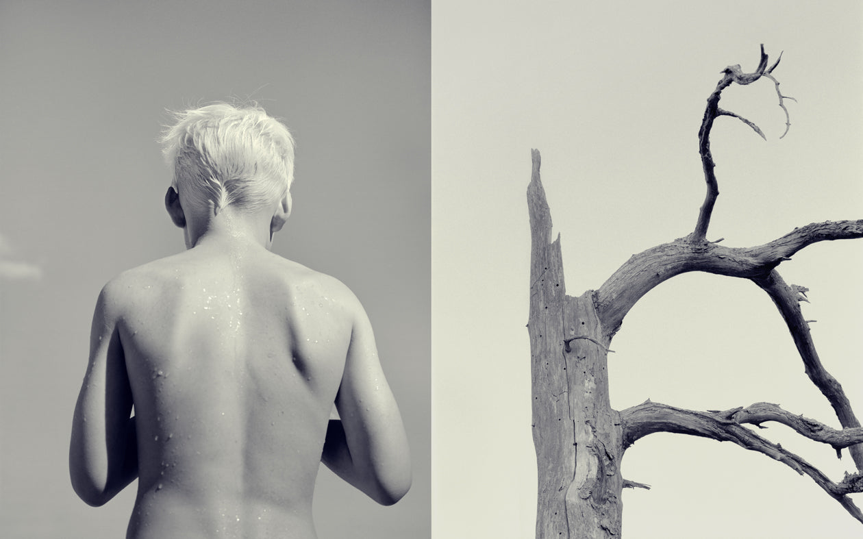 From the serie: Memories of #2