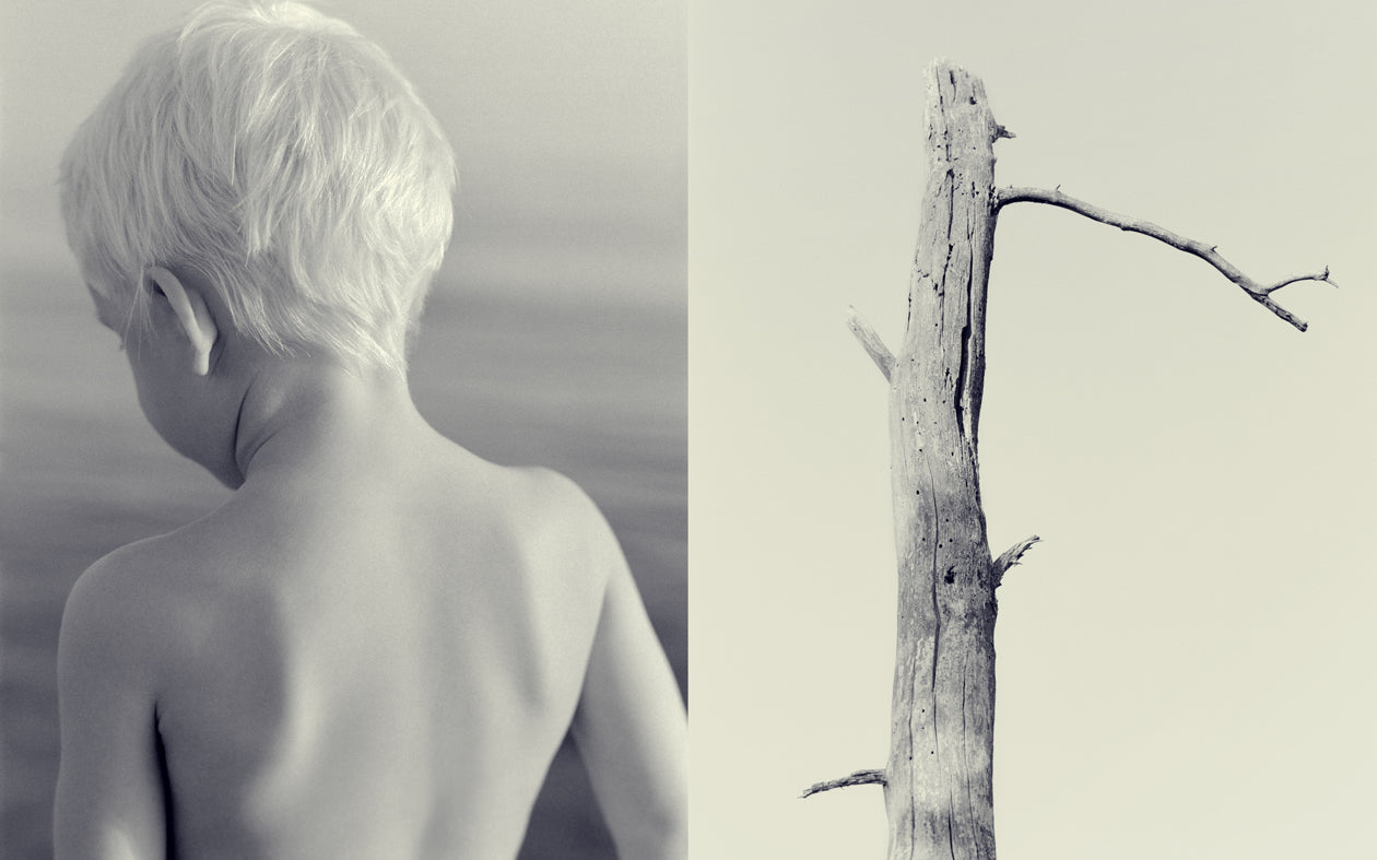 From the serie: Memories of #3
