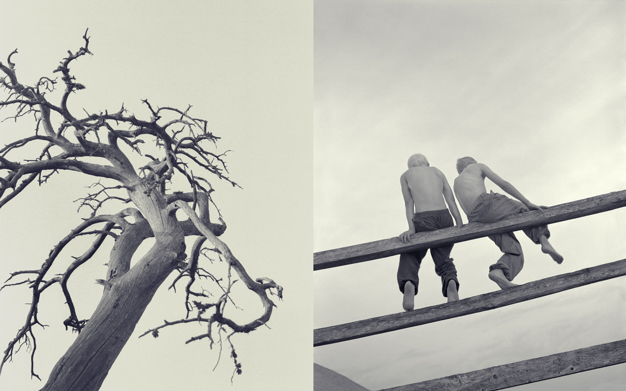 From the serie: Memories of #7