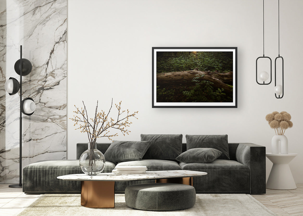Untitled tree