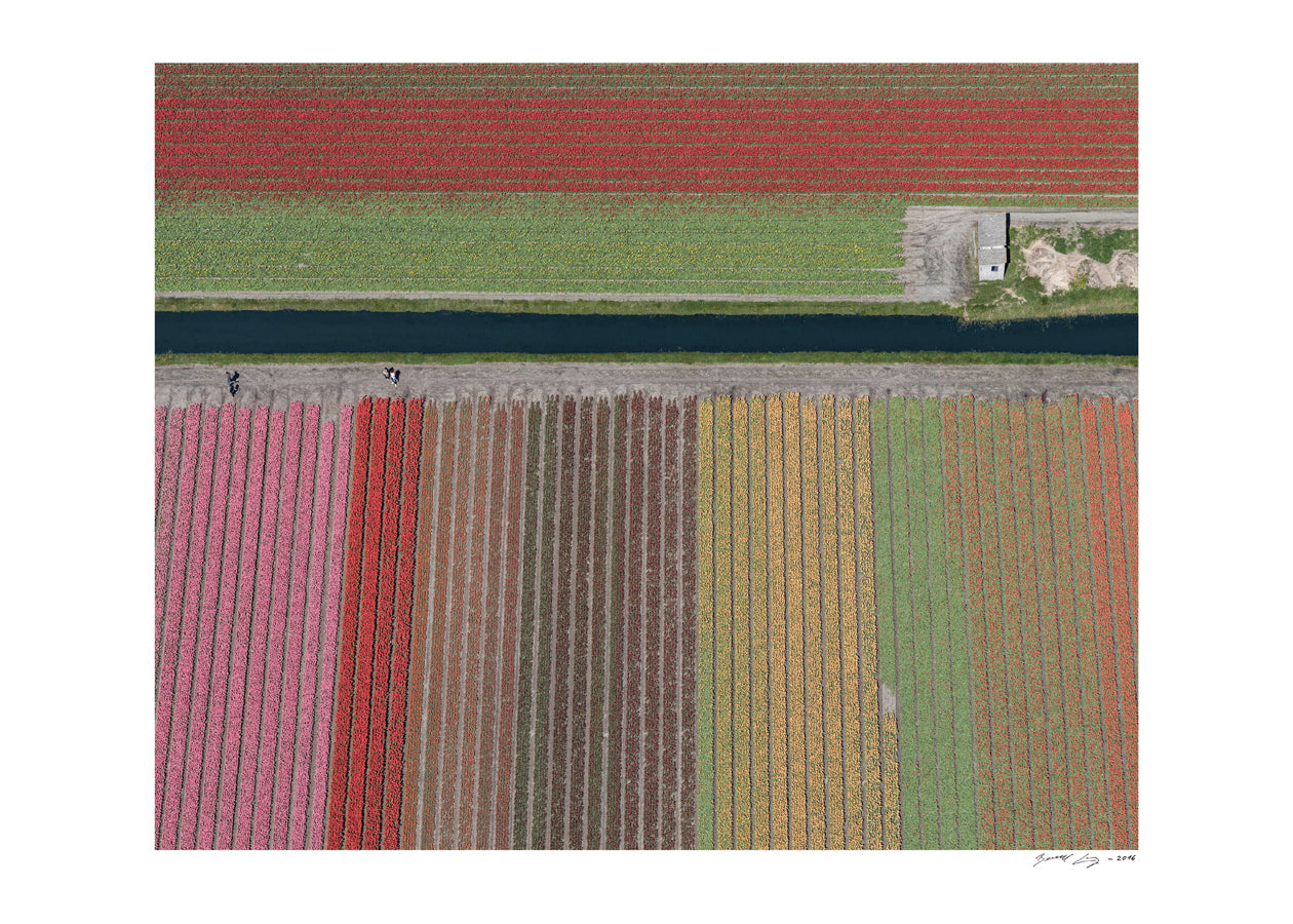 AV Netherlands 006