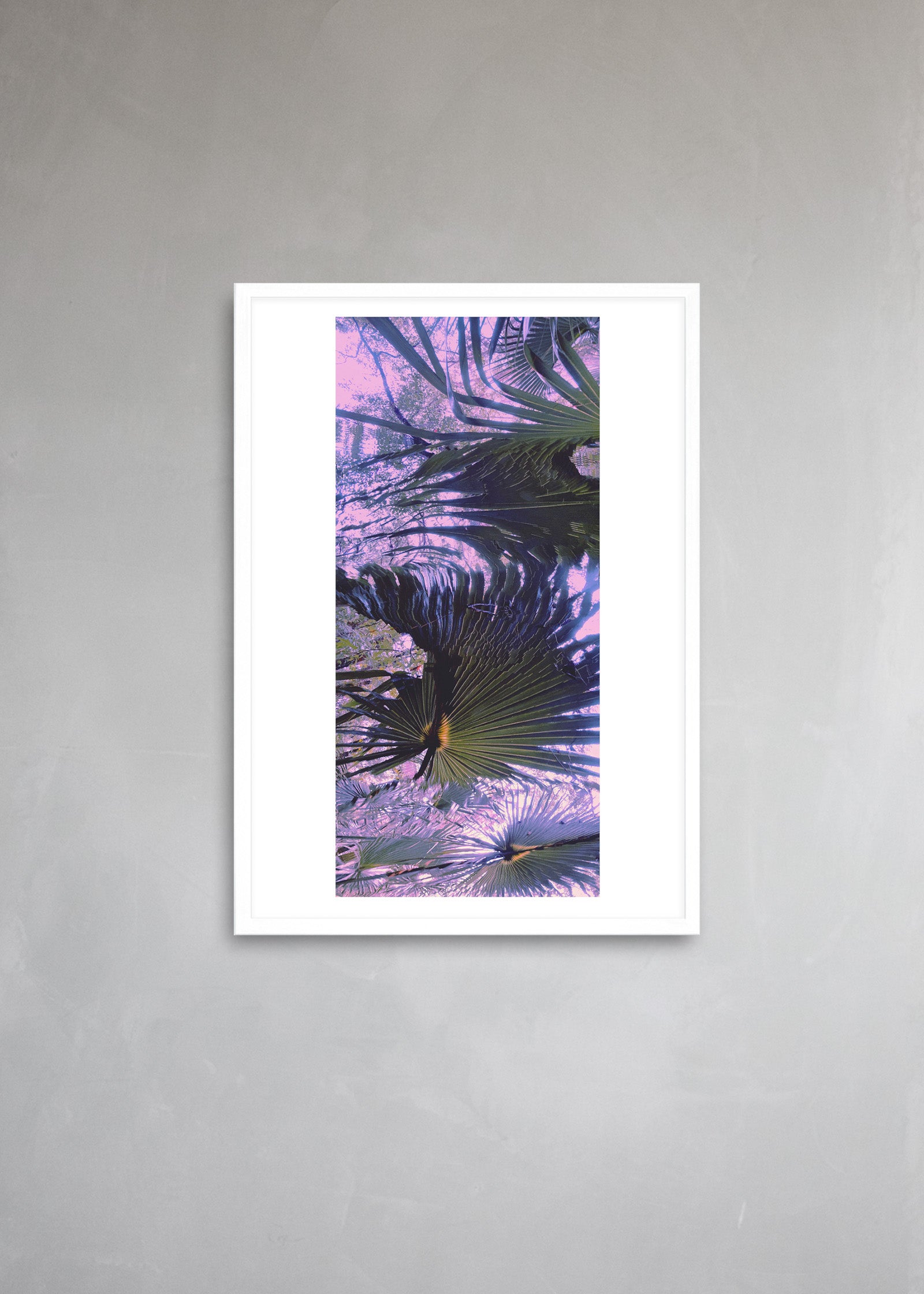 Feather
