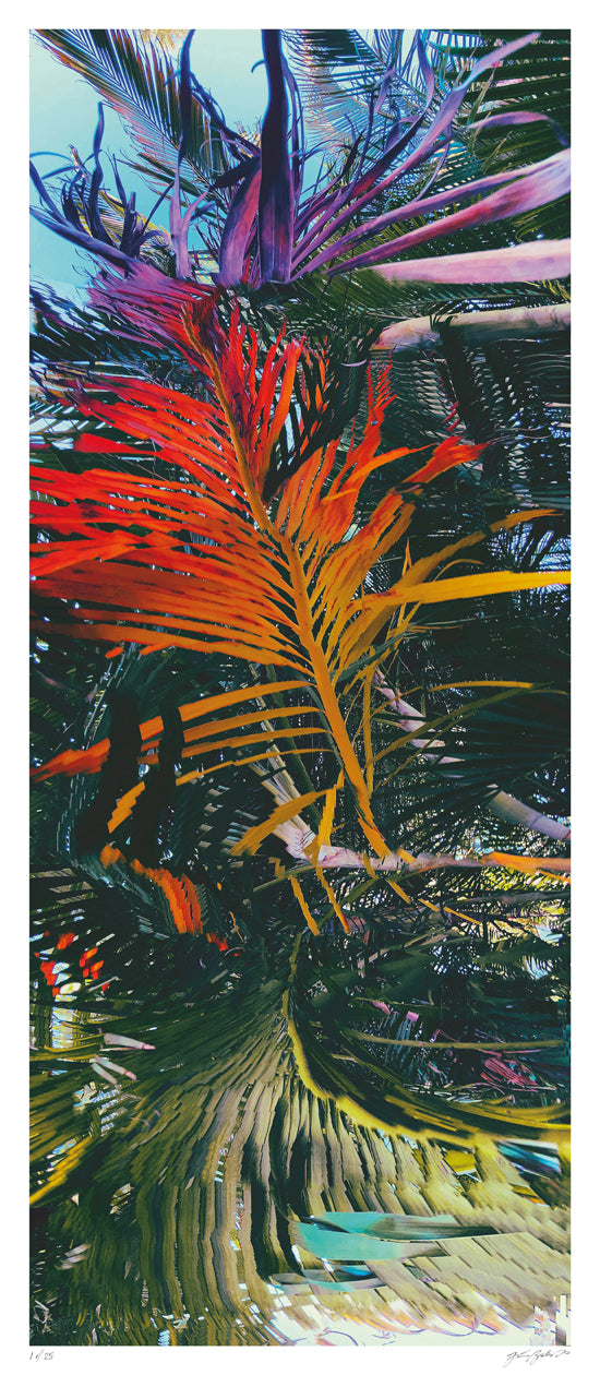 Feathers