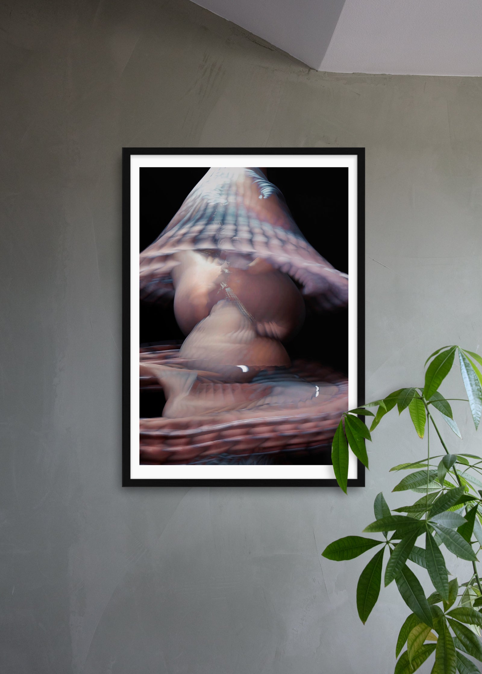 Shibari #5