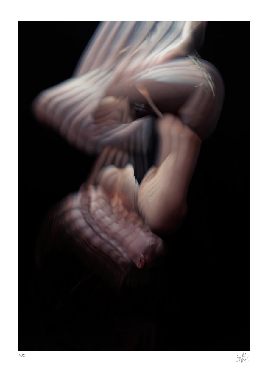 Shibari #6